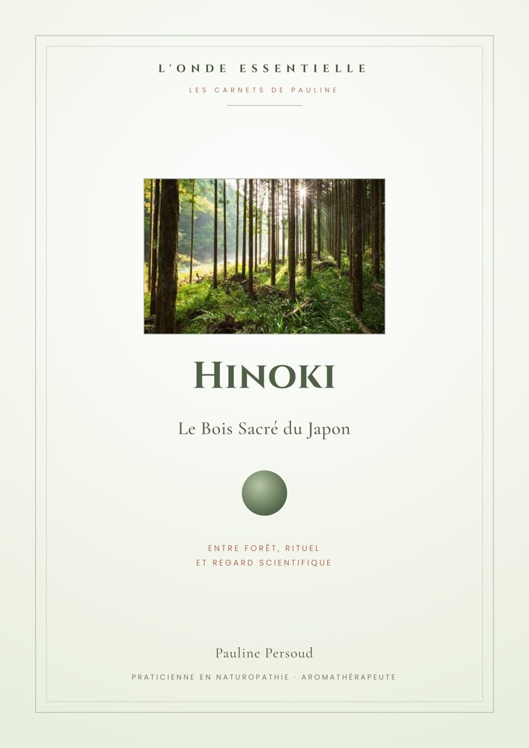 Couverture du carnet Hinoki — Le Bois Sacré du Japon, par Pauline Persoud